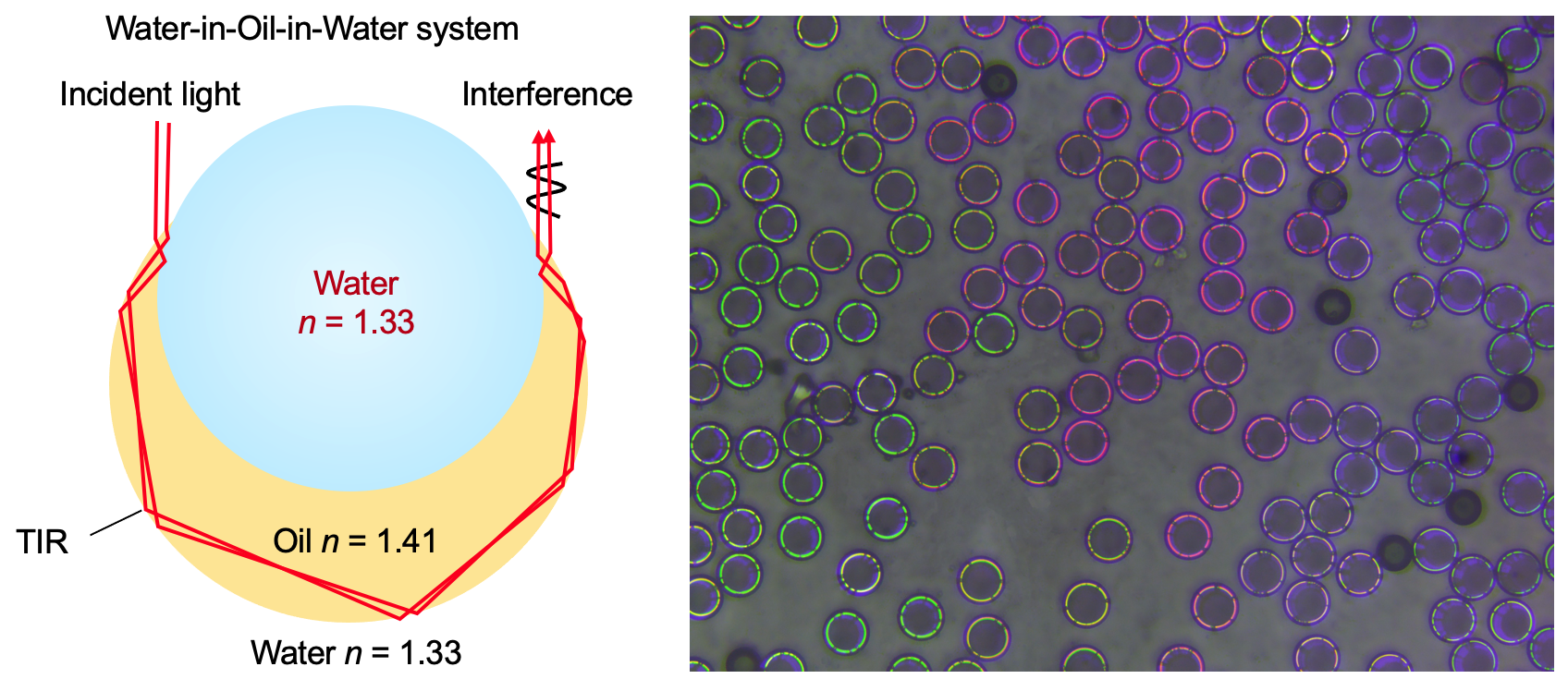 Screen Shot 2025-06-06 at 18.21.34.png